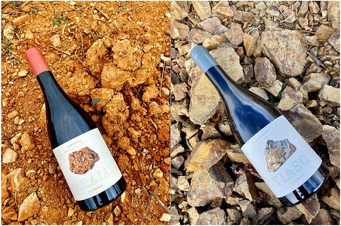 Las dos novedades de Sommos Garnacha