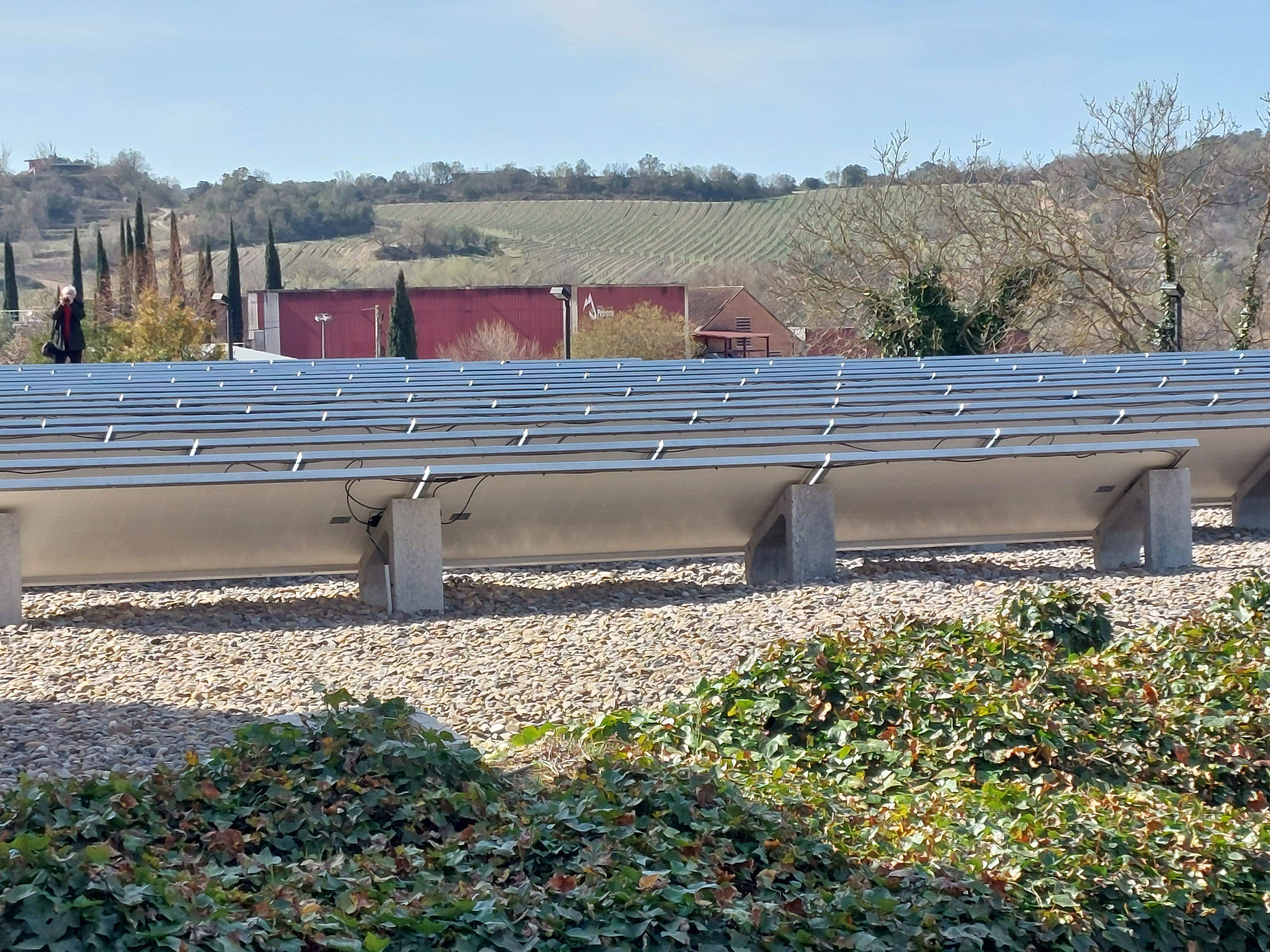 Presentación de las prácticas sostenibles de Viñas del Vero