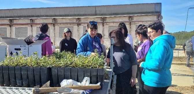 Quedan 30 árboles que se pueden apadrinar de la plantación en Robres. Quedan 30 árboles que se pueden apadrinar de la plantación en Robres.