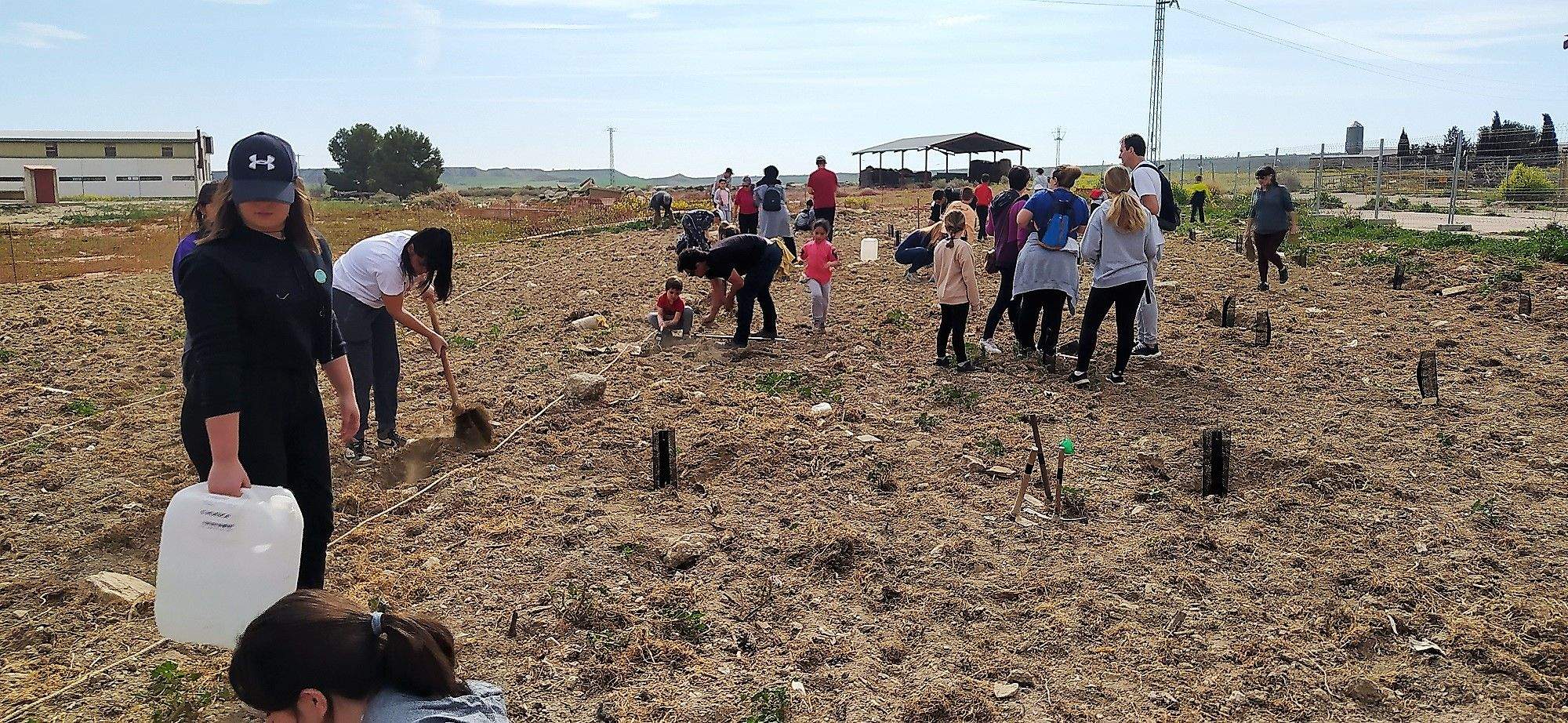 Plantación de árboles en Robres