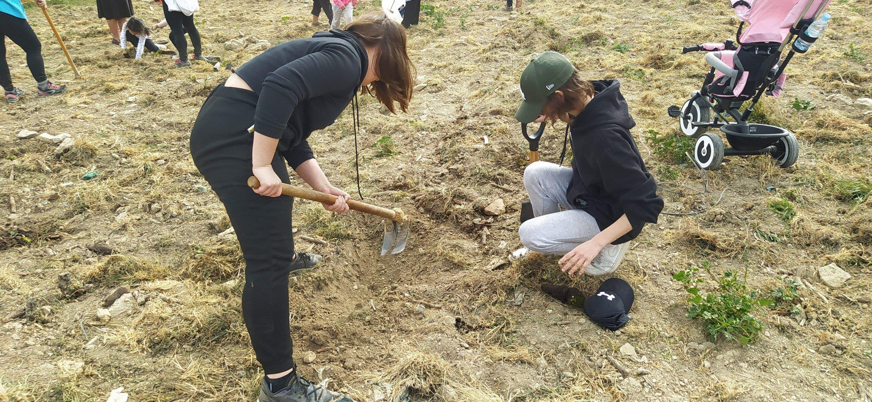 Plantación de árboles en Robres
