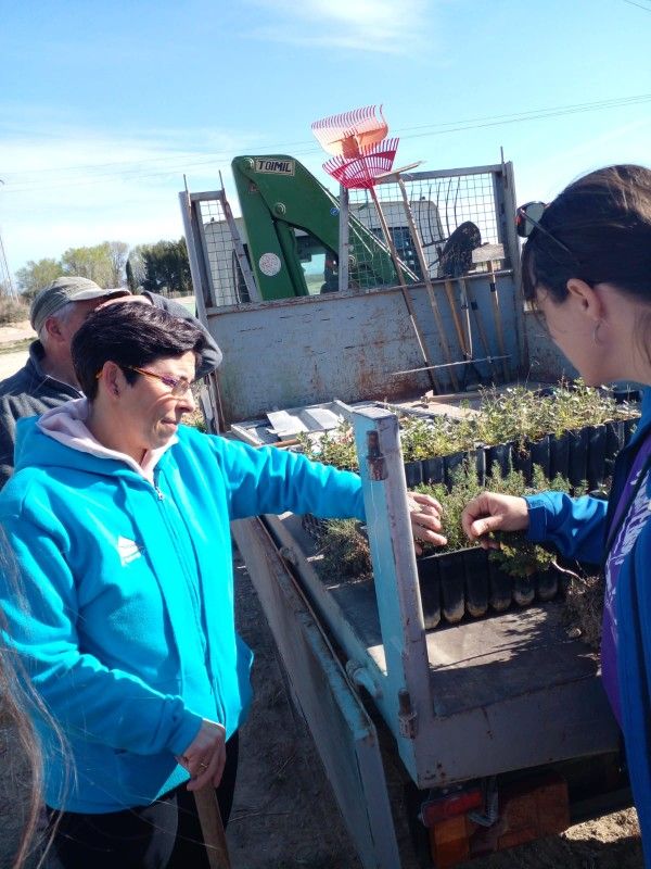 Plantación de árboles en Robres