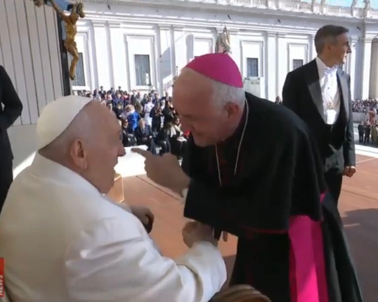 Peregrinación a Roma de Grausinos de la cofradía y el Instituto