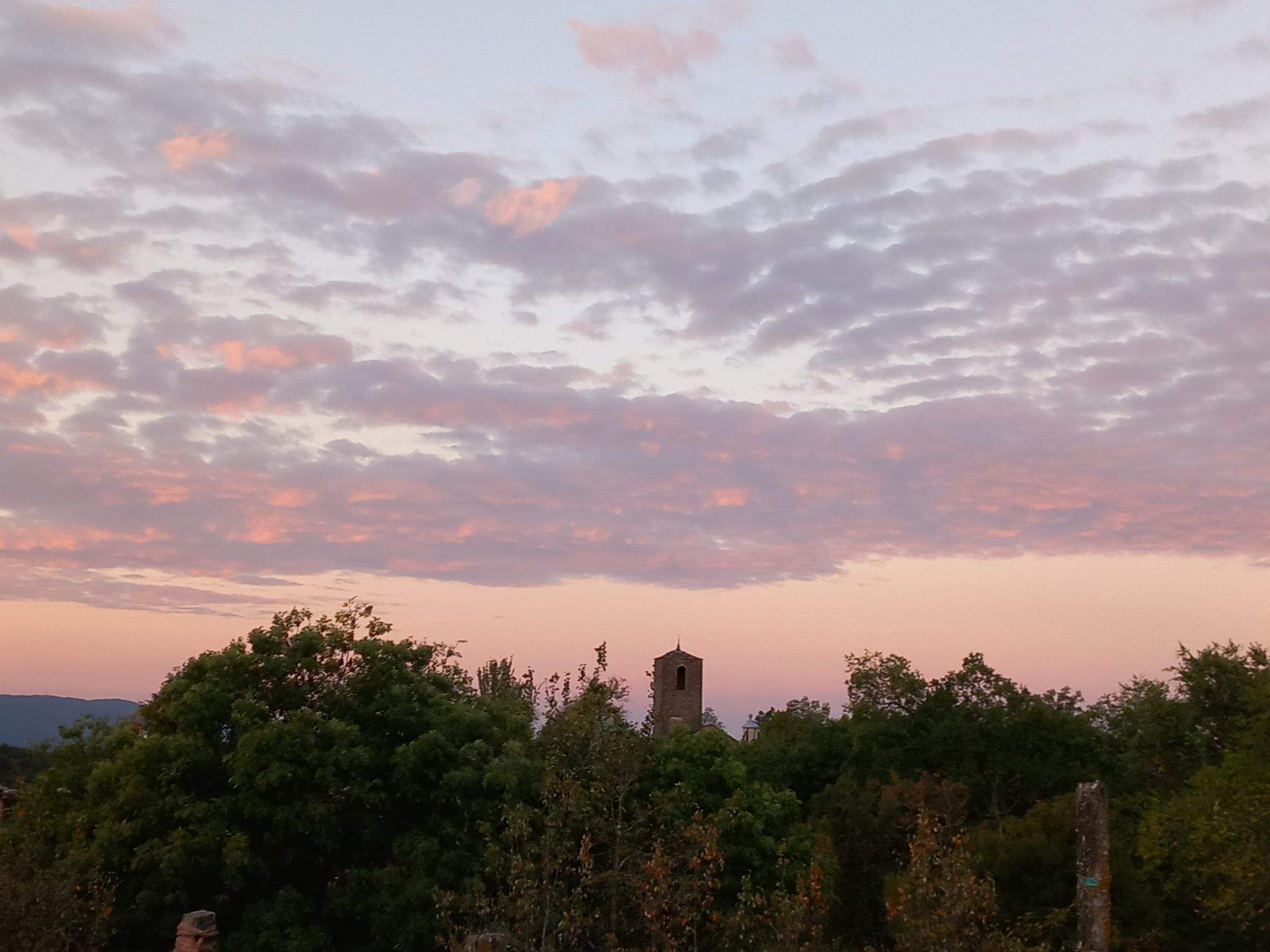 Guarguera Viva traslada a Lambánlas "irregularidades" en el proyecto Bara-Las Bellostas. Guarguera Viva traslada a Lambánlas "irregularidades" en el proyecto Bara-Las Bellostas.
