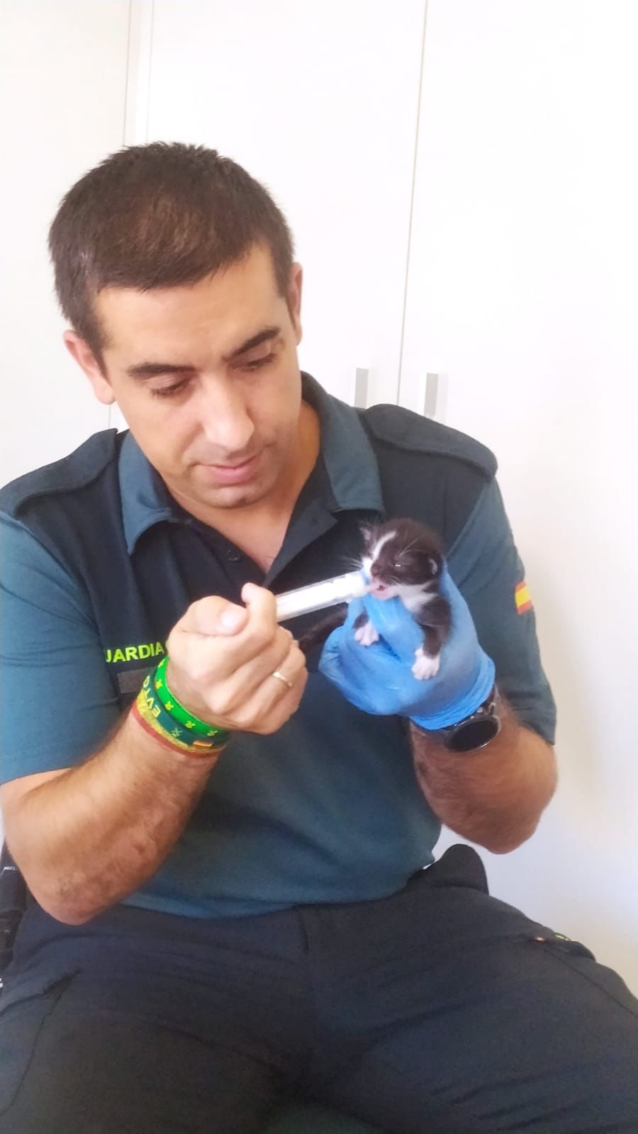 Un agente de la Guardia Civil de Fraga da de comer a uno de los gatitos.
