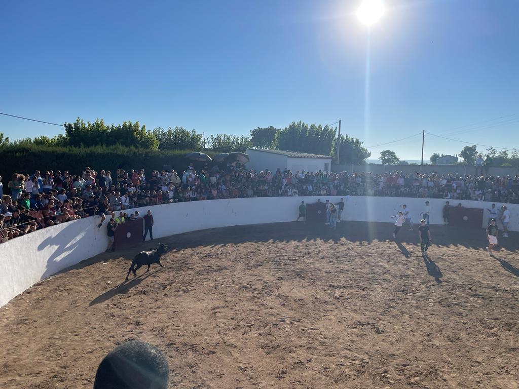 Fiestas de Altorricón 2022