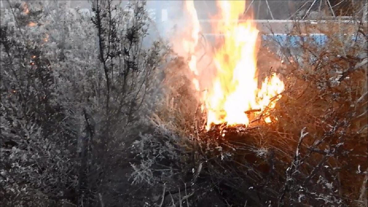 Lluvia Sólida y Río Sólido, productos contra los incendios