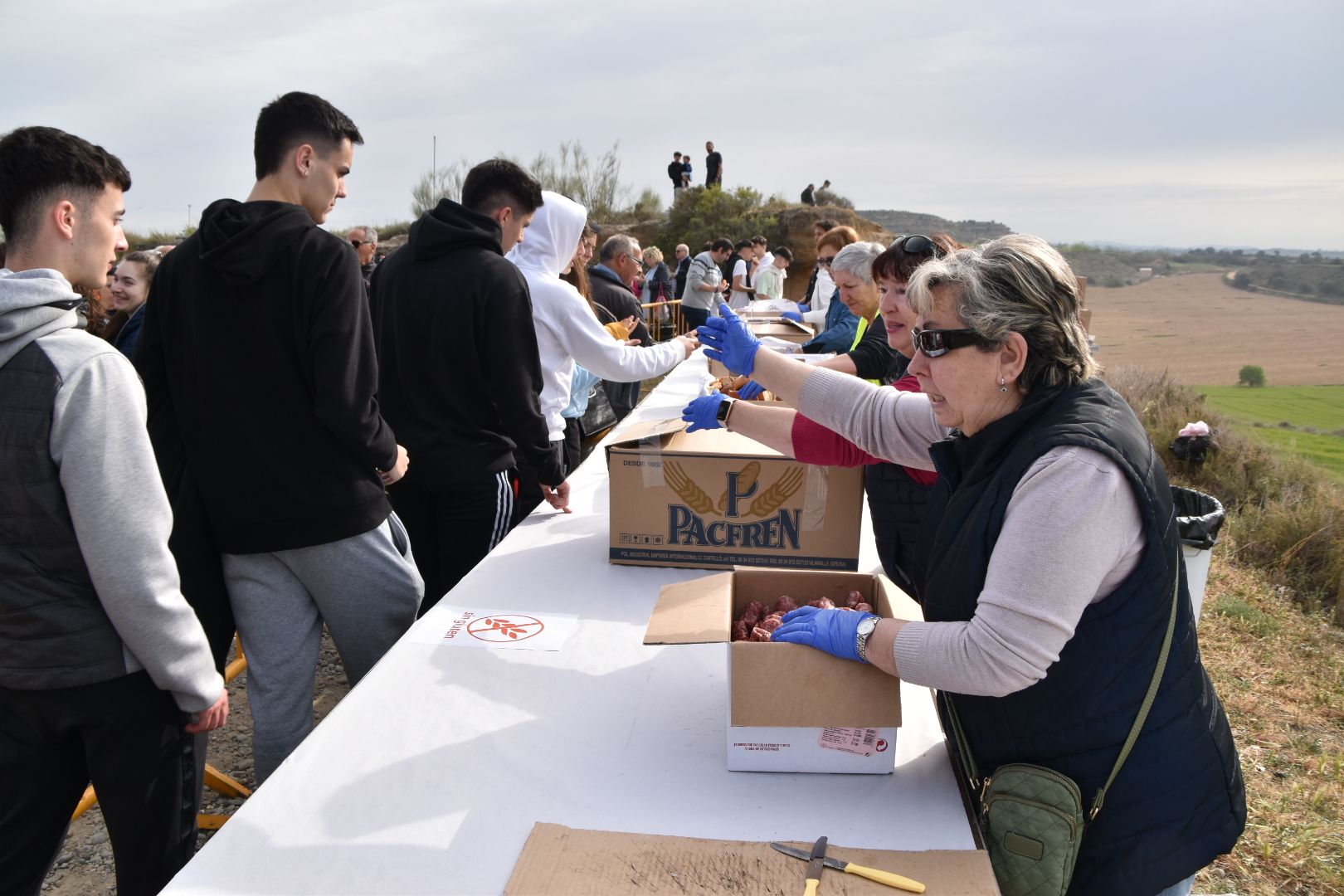 Día de la Virgen de la Alegría de Monzón 2023  