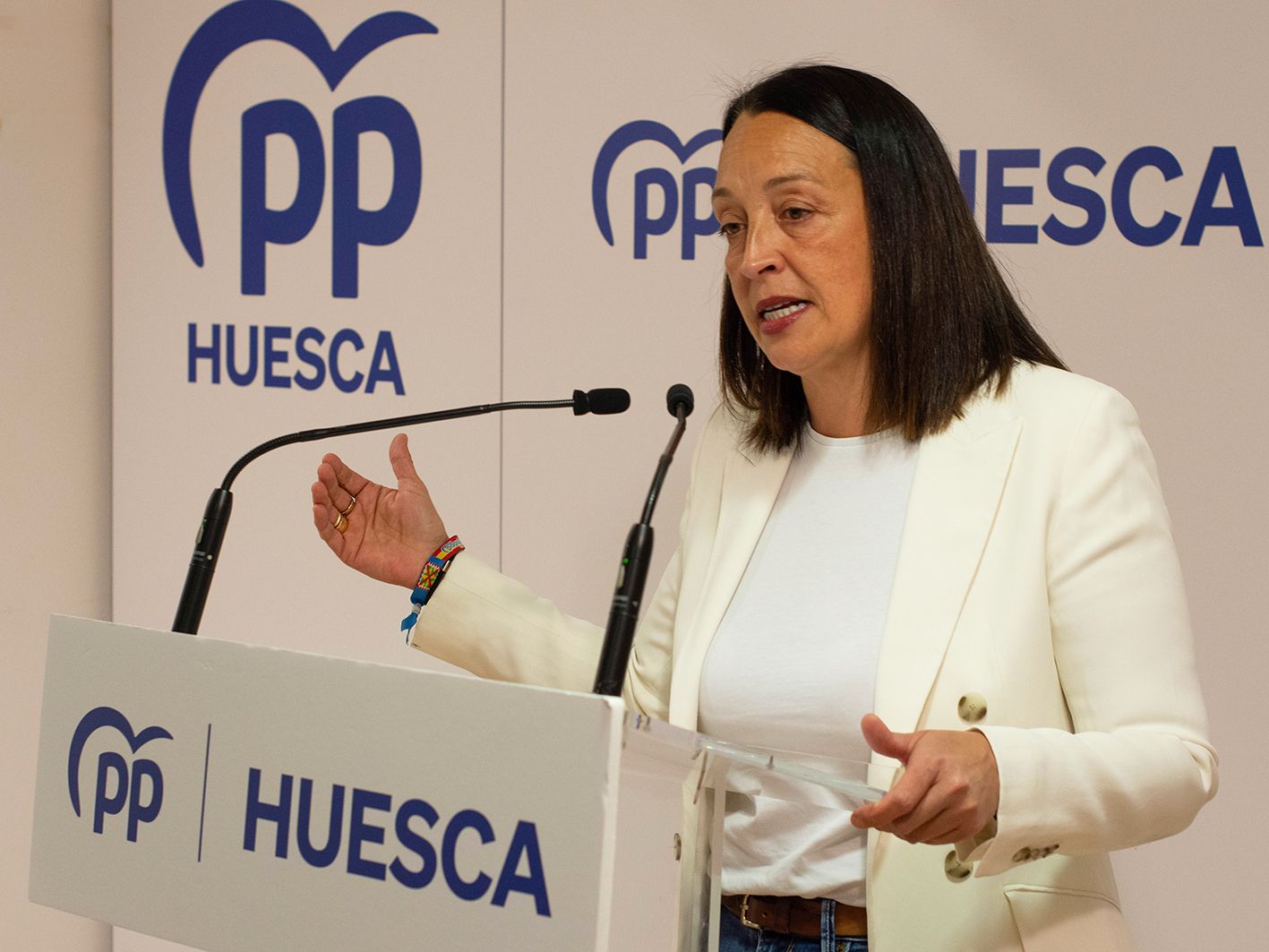 Carmen Susín, portavoz de Hacienda del PP en las Cortes de Aragón