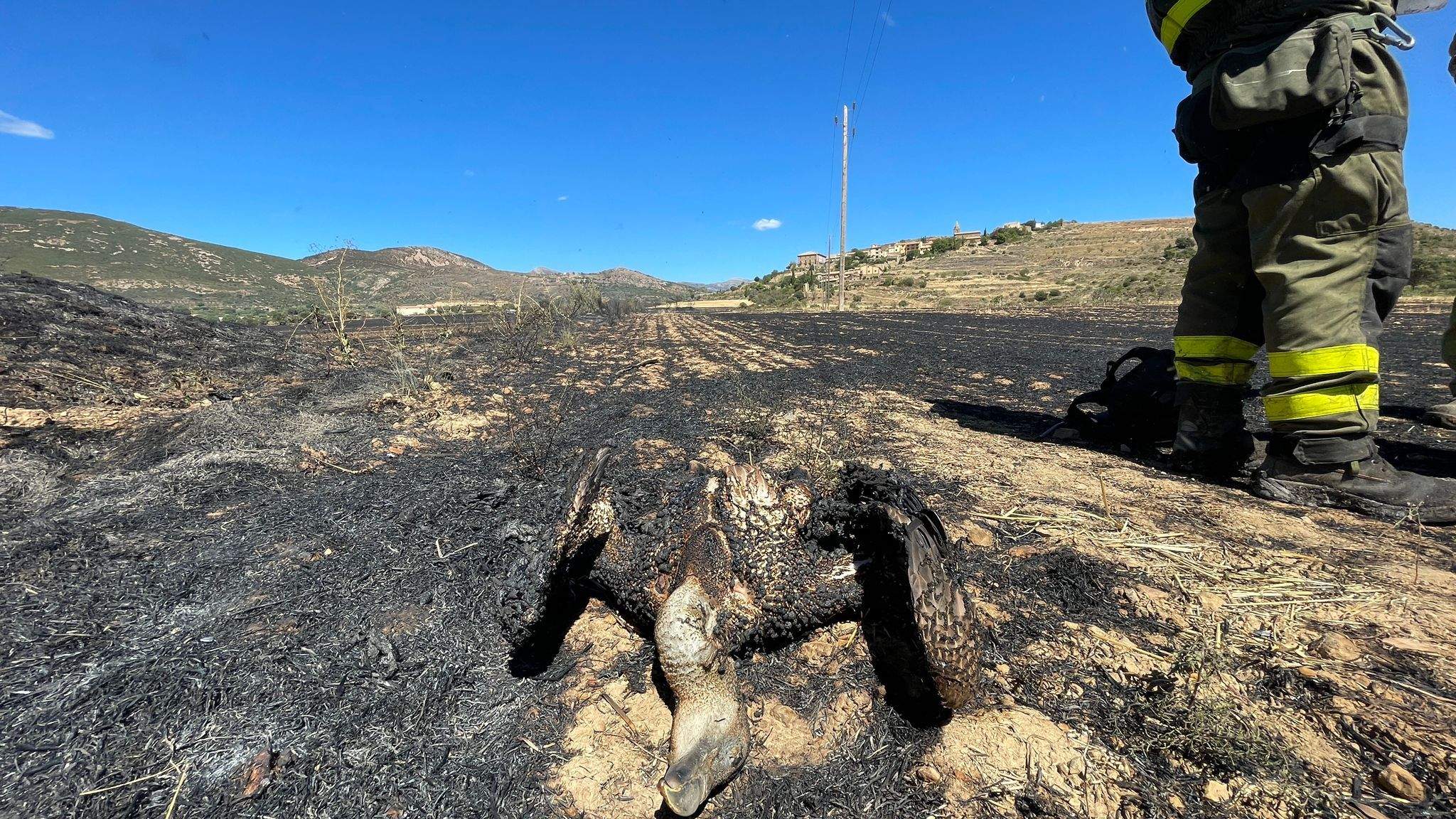 Incendio en Castilsabás