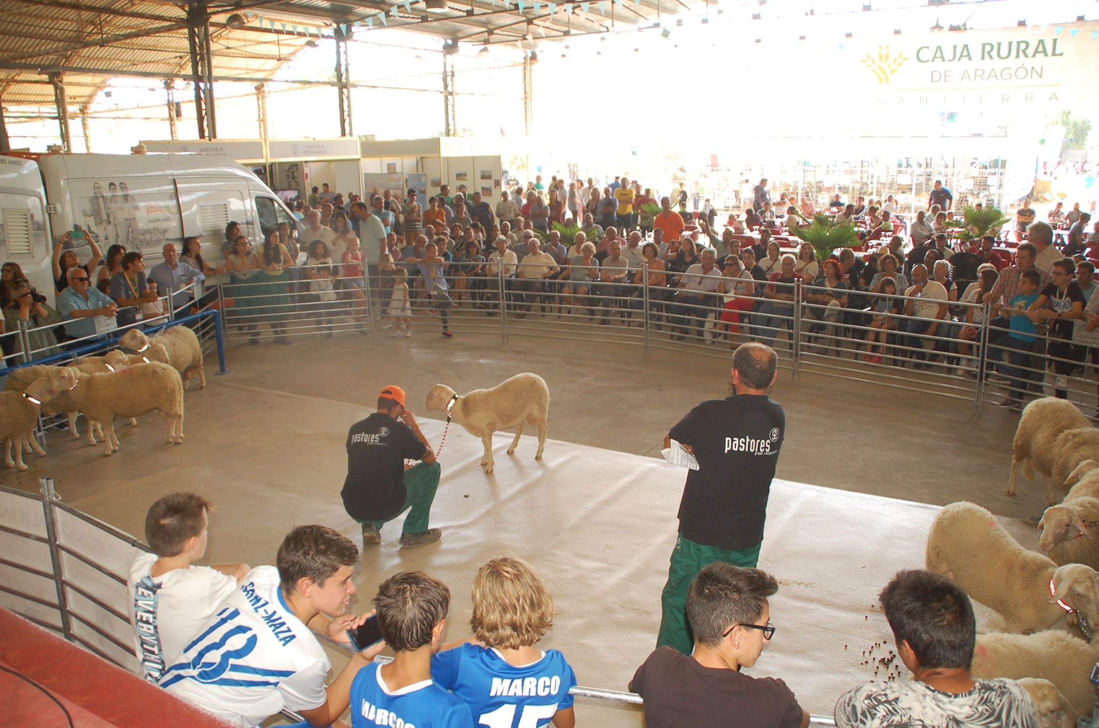 Femoga 2022 batirá el récord de metros cuadrados de exposición. Femoga 2022 batirá el récord de metros cuadrados de exposición.