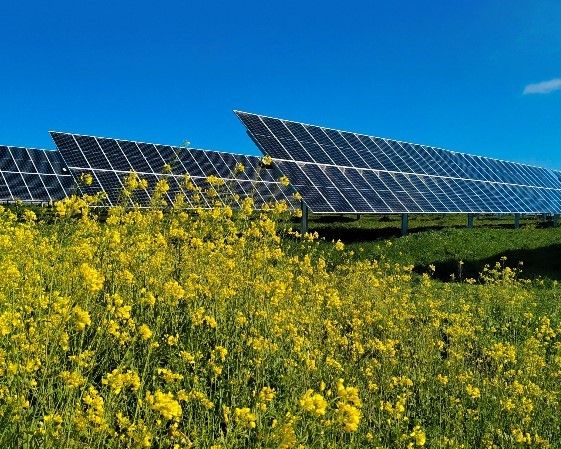 Parque solar fotovoltaico en Dinamarca. FOTO: Powertis.