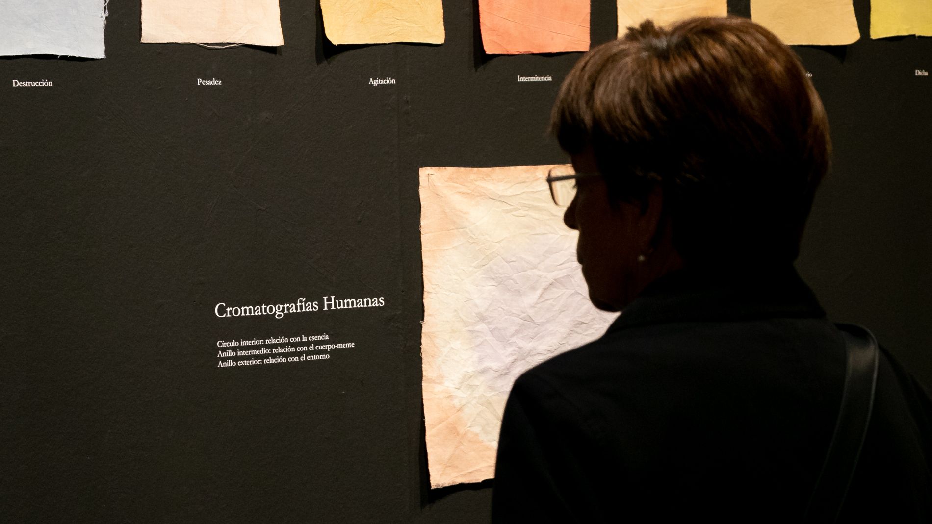 Imágenes de la exposición Cromatografías del Ser de Silvia Cored. Foto Estela Alcay