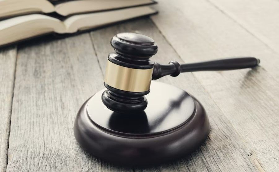 Condena histórica en Aragón, por el delito de maltrato animal en el criadero ilegal de Maella