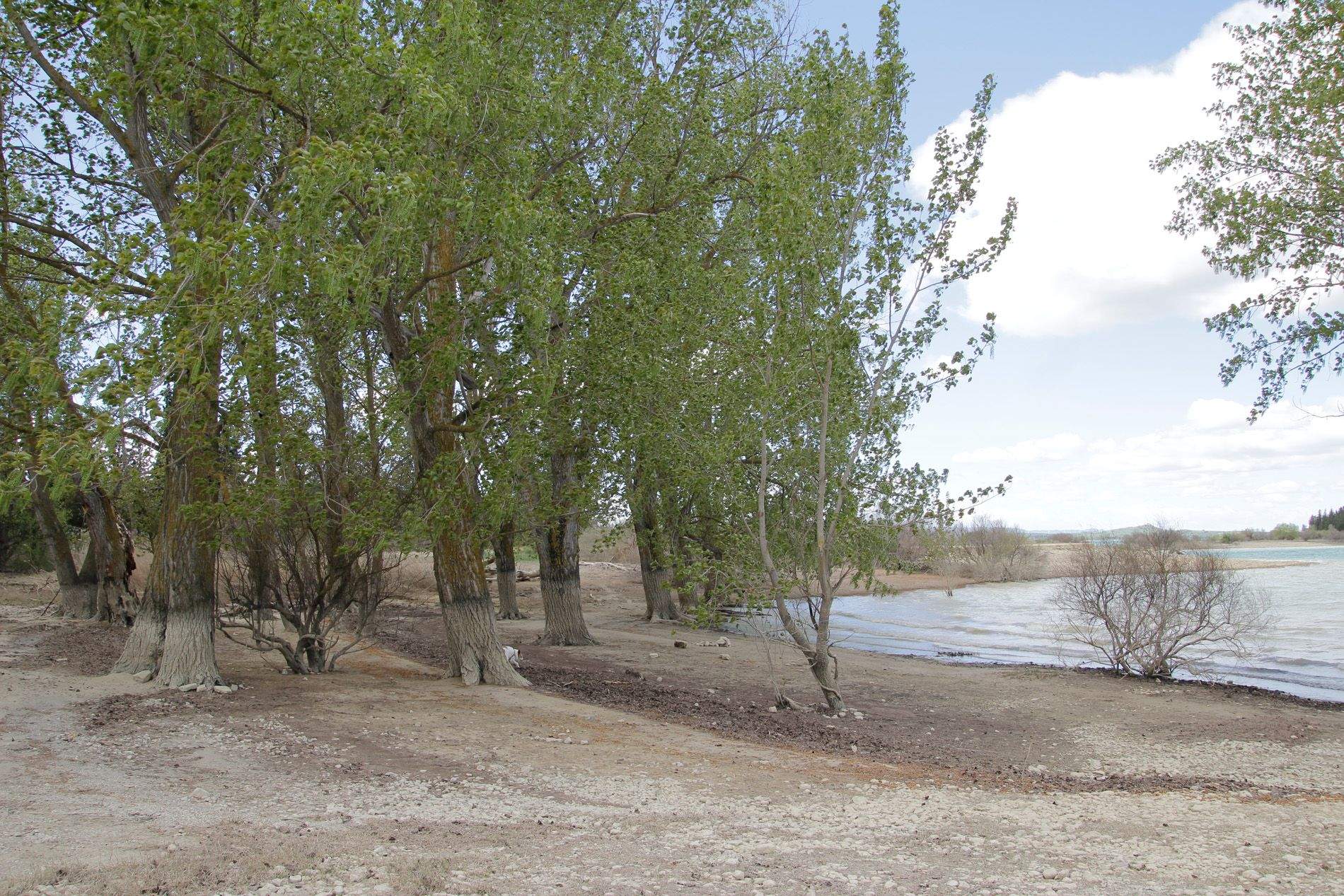 El agua embalsada un 20 % menor a la del año pasado y un 25% menor a la de los últimos 5 años. Foto: Amagoia La Cruz El agua embalsada un 20 % menor a la del año pasado y un 25% menor a la de los últimos 5 años. Foto: Amagoia La Cruz