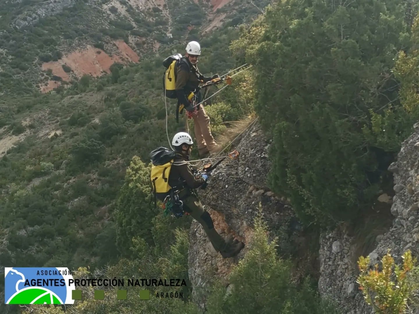 Actuación del GIA de los Agentes de Protección de la Naturaleza para rescatar la puesta de Petronila.