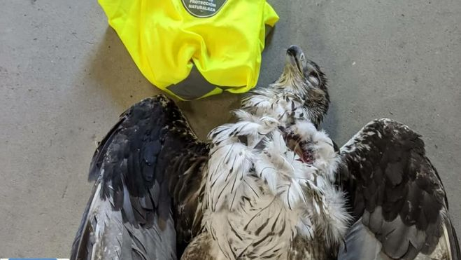 Petronila fue hallada muerta por agentes de protección de la naturaleza. Petronila fue hallada muerta por agentes de protección de la naturaleza.