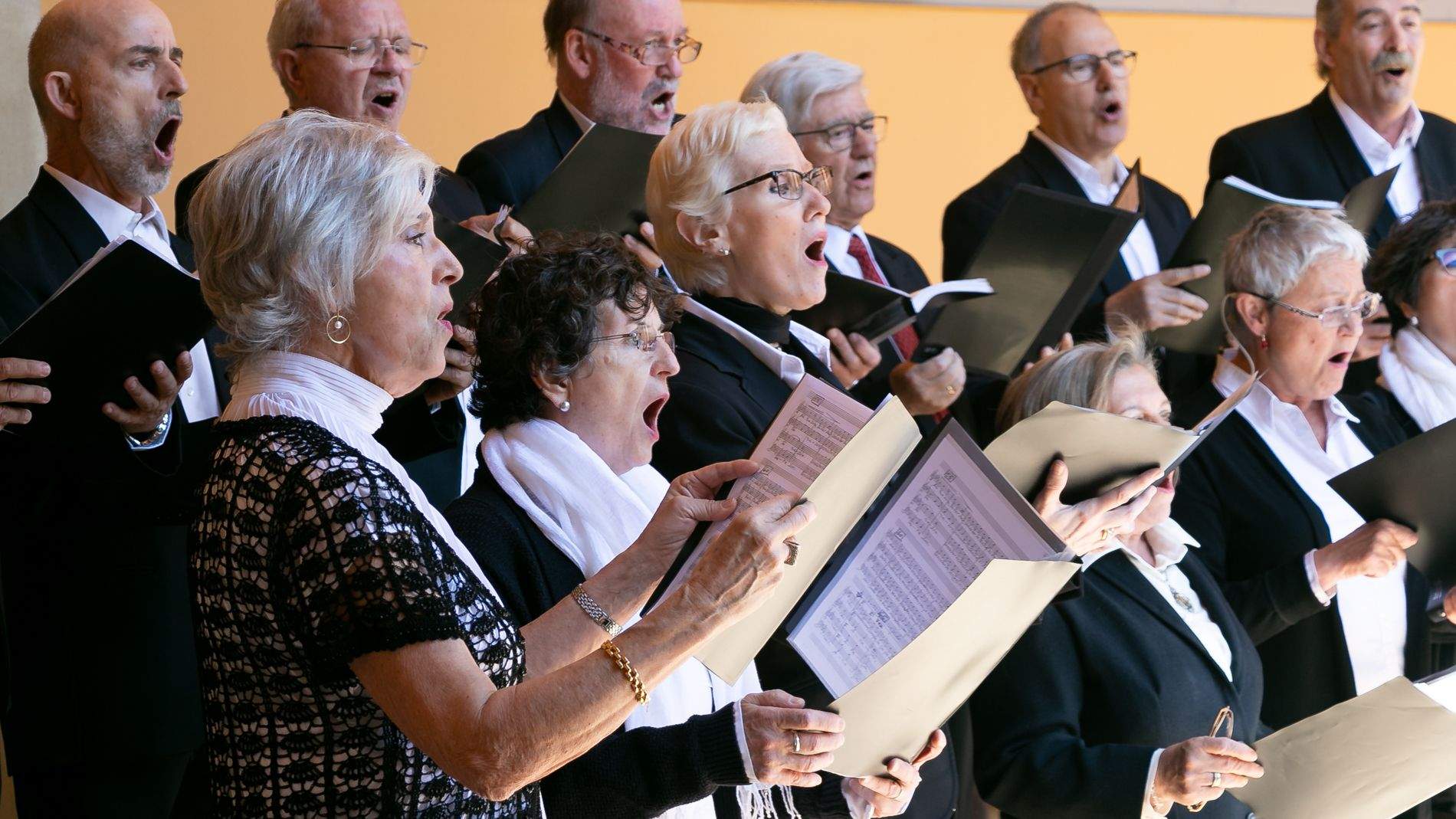  Celebración del Día de Aragón en Huesca. Foto: Estela Alcay