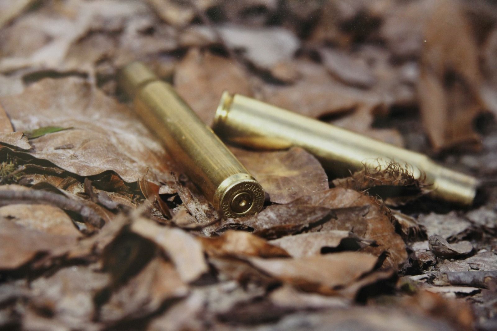 Arteria 2023. Foto Carlos Neofato