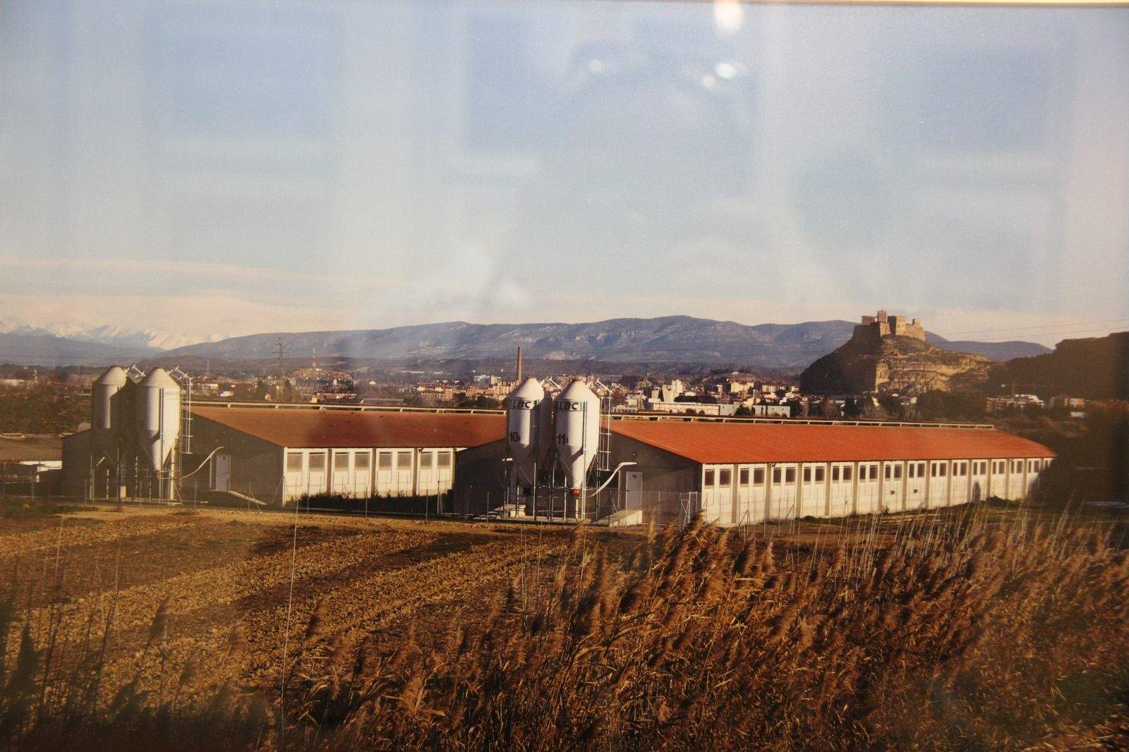 Arteria 2023. Foto Carlos Neofato