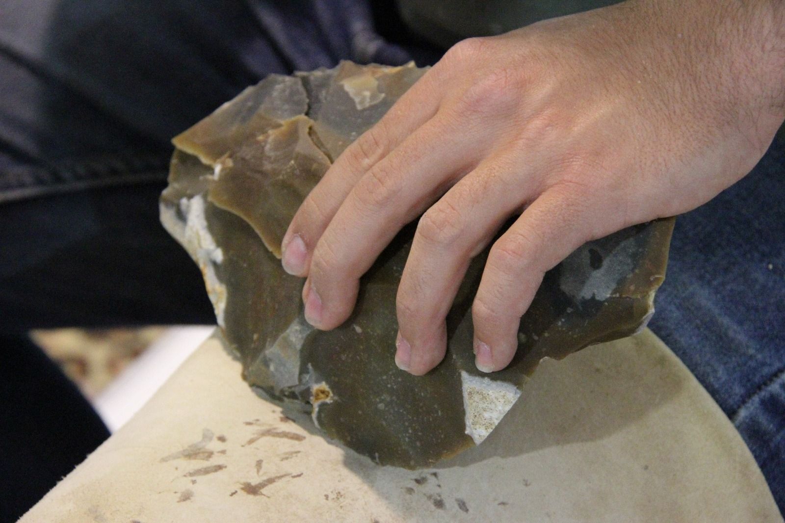 Arteria 2023. Foto Carlos Neofato