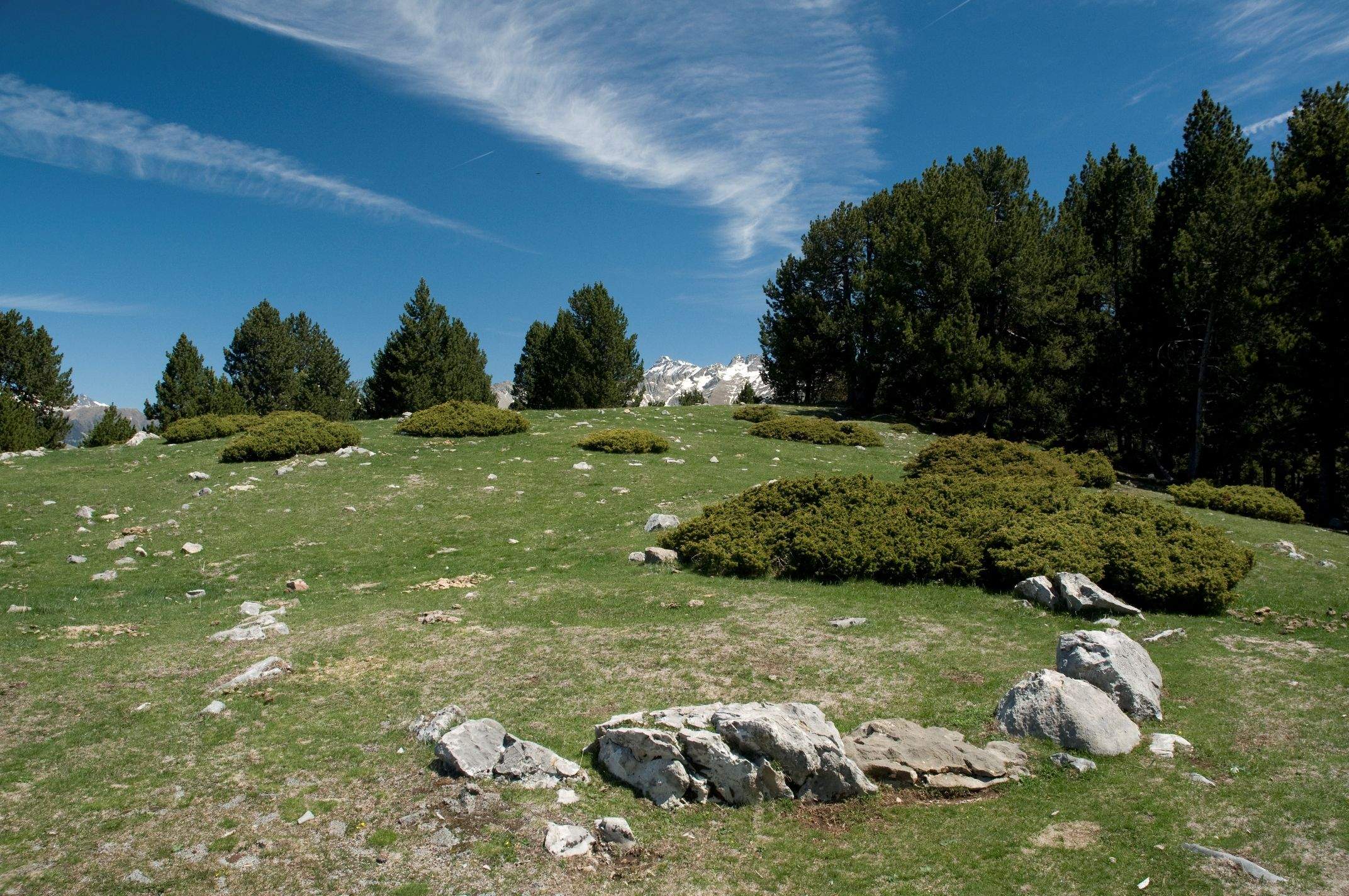 El Geoparque ha organizado una salida guiada a los “círculos de Labasar”.