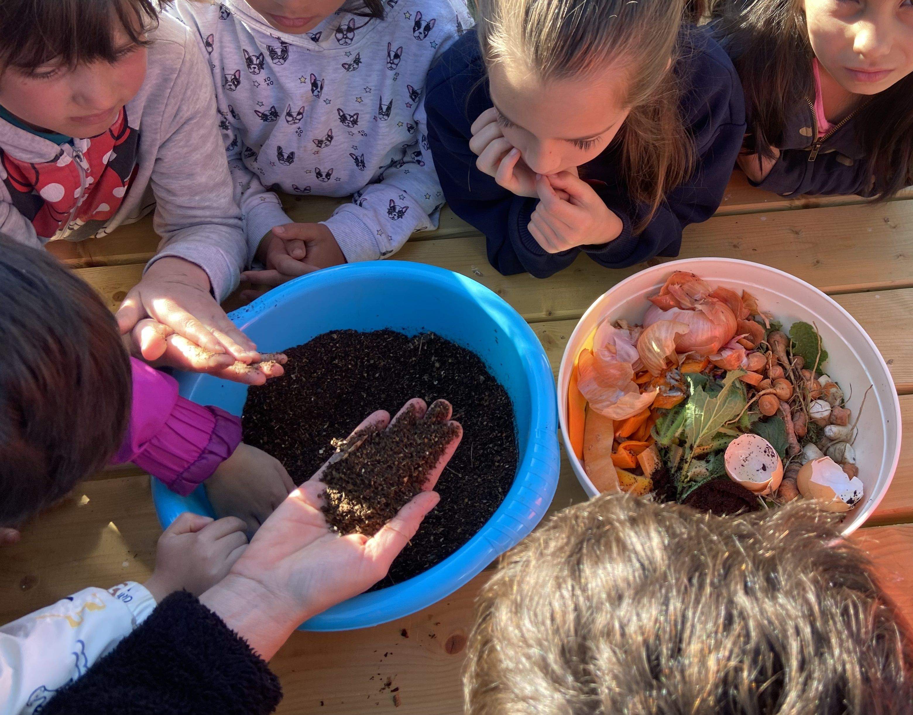Proyecto piloto Compostamos en las escuelas de Monegros
