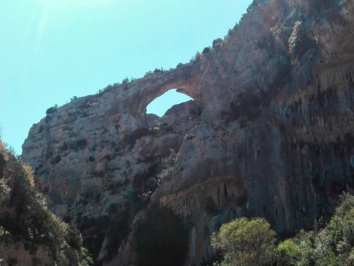 Delfín en el barranco de Mascún en la Sierra de Guara.