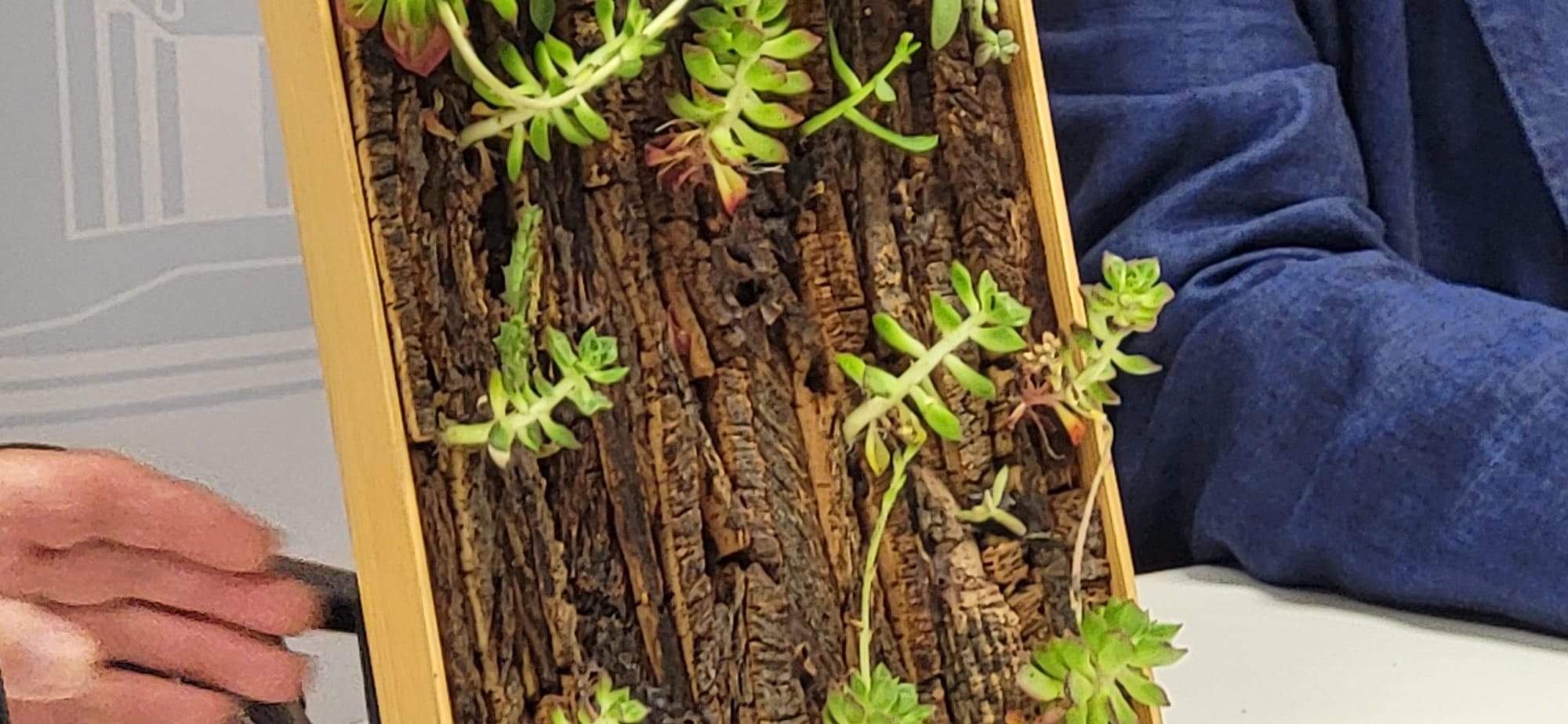 Rotarios de Mérida y Huesca con el presidente de la comarca y el concejal Roberto Cacho ante la puerta de la Iglesia de San Vicente. Foto Javier García Antón