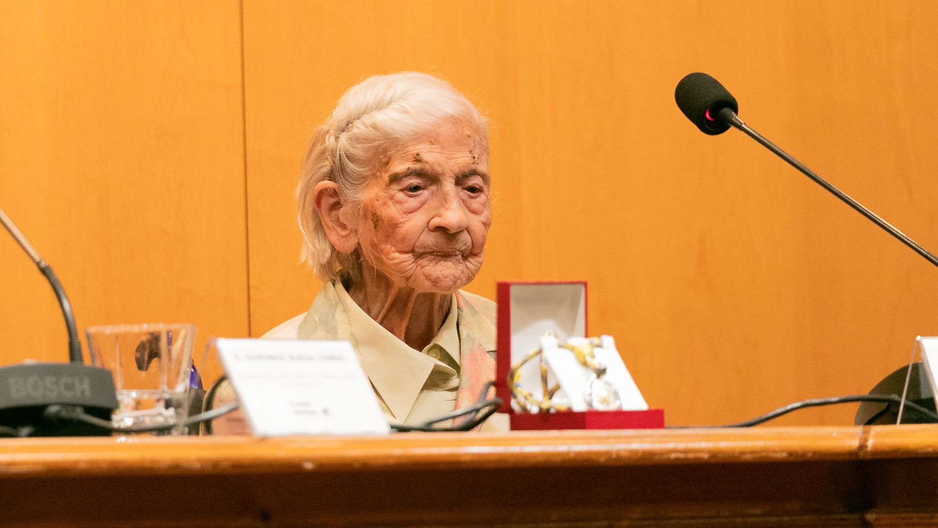 Medalla de Oro y exposición de María Cruz Sarvisé. Foto Estela Alcay