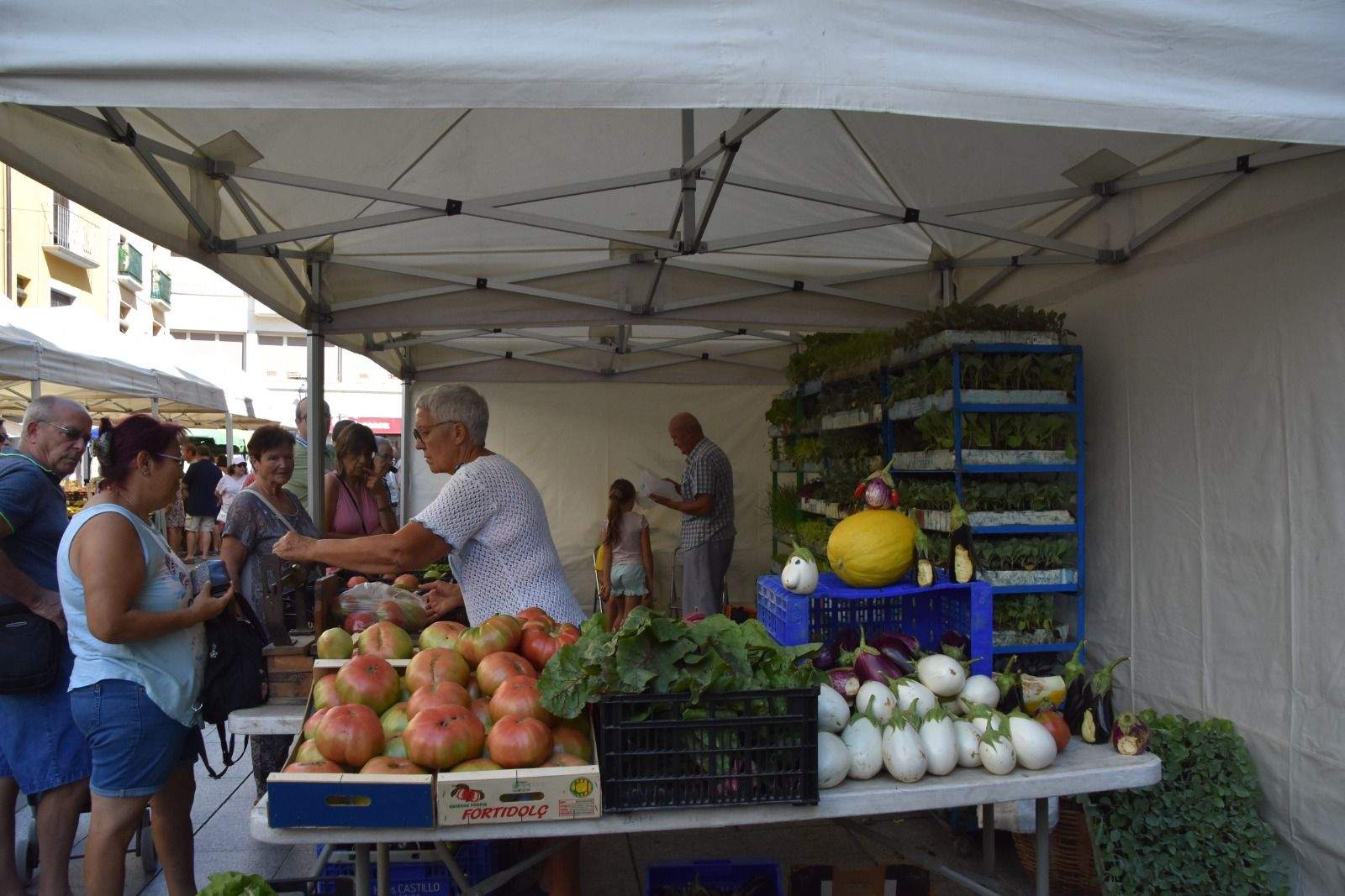 Muestra de Frutas y Hortalizas de Barbastro