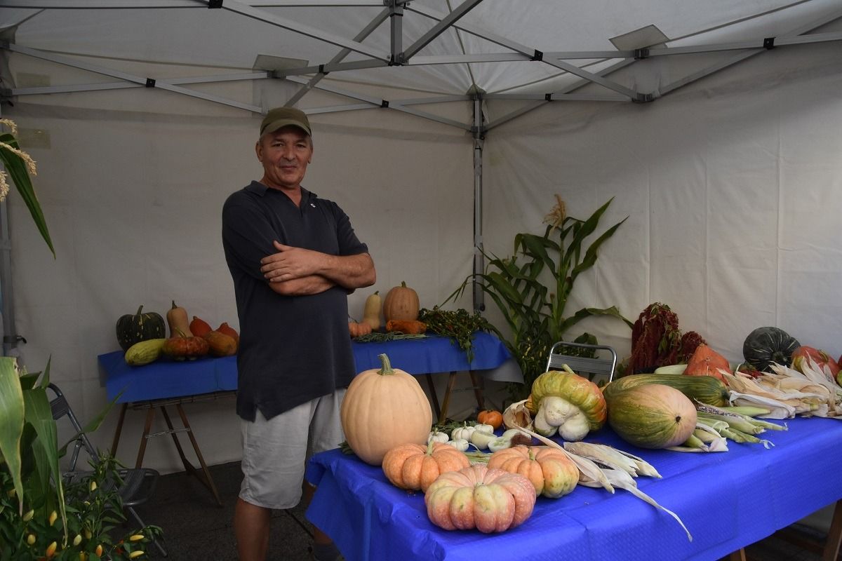 Muestra de Frutas y Hortalizas