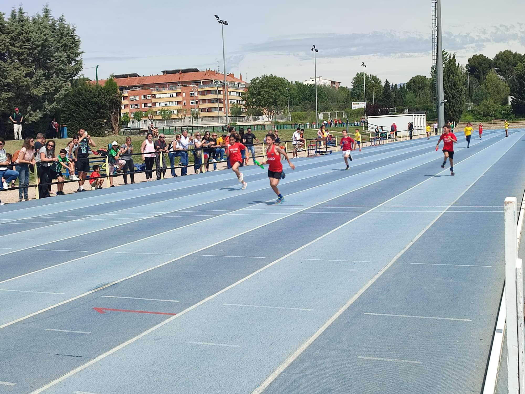 Torneo Intercomarcal Alevín 