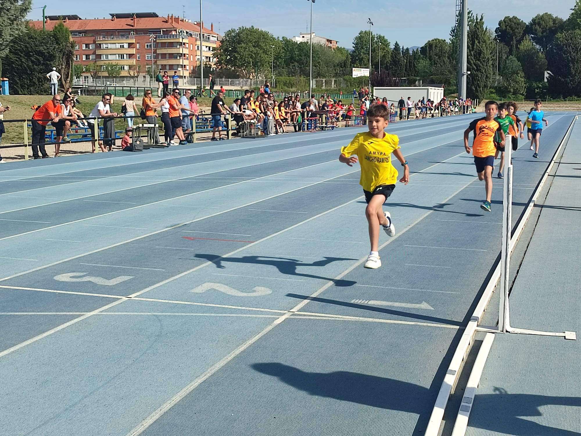 Torneo Intercomarcal Alevín 