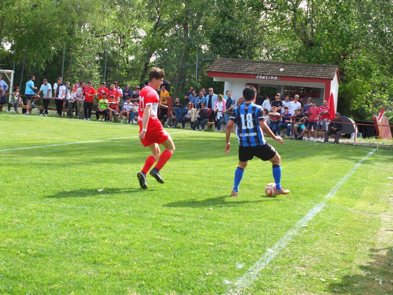 Celebración del ascenso del Valfonda en el campo del Bolea.
