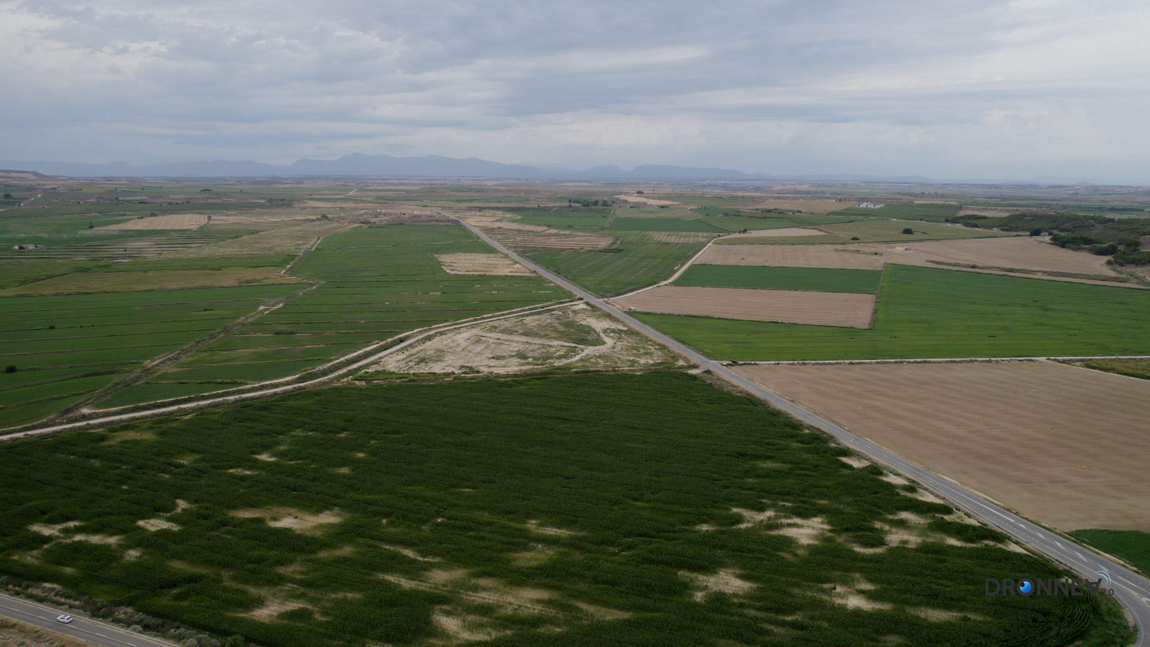 Camo, Joaquín Costa, López Allué... En el cielo, se escuchan sus celebraciones por el verdor de Monegros que soñaron y por el que lucharon.