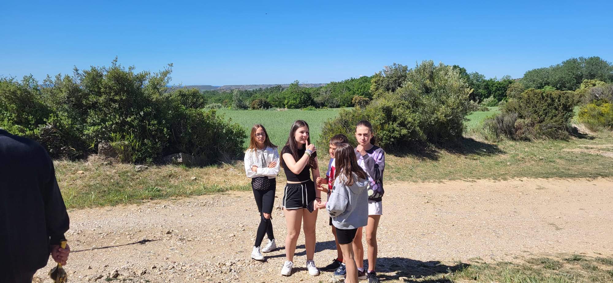 Romería de la Virgen del Viñedo. Foto Javier García Antón
