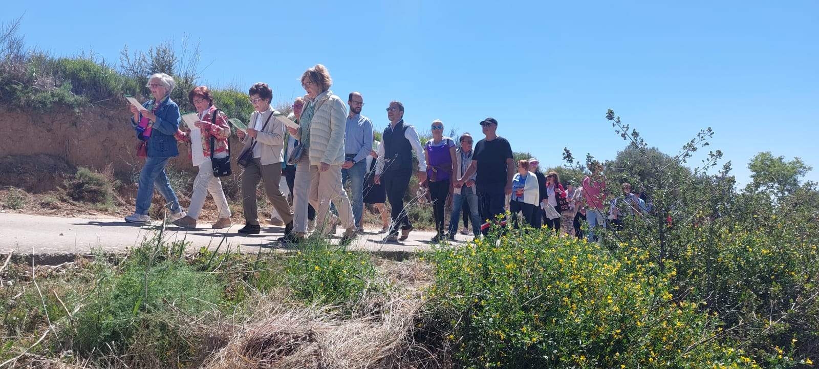 Romería de la Virgen del Viñedo. Foto Javier García Antón