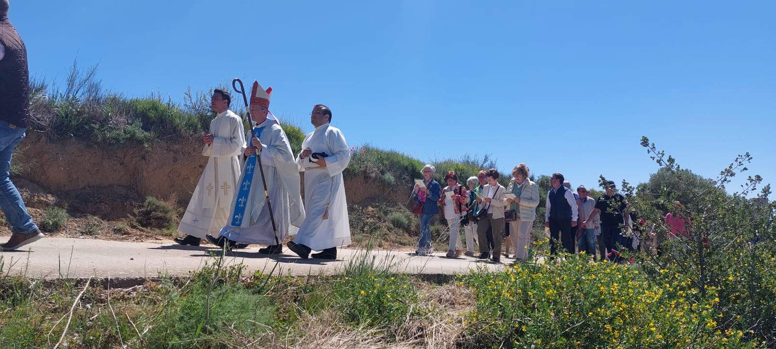 Romería de la Virgen del Viñedo. Foto Javier García Antón