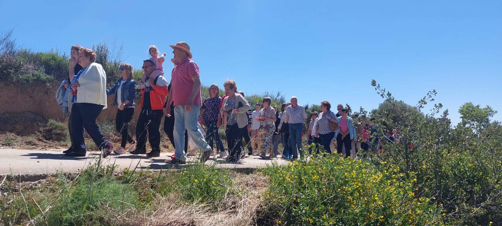 Romería de la Virgen del Viñedo. Foto Javier García Antón