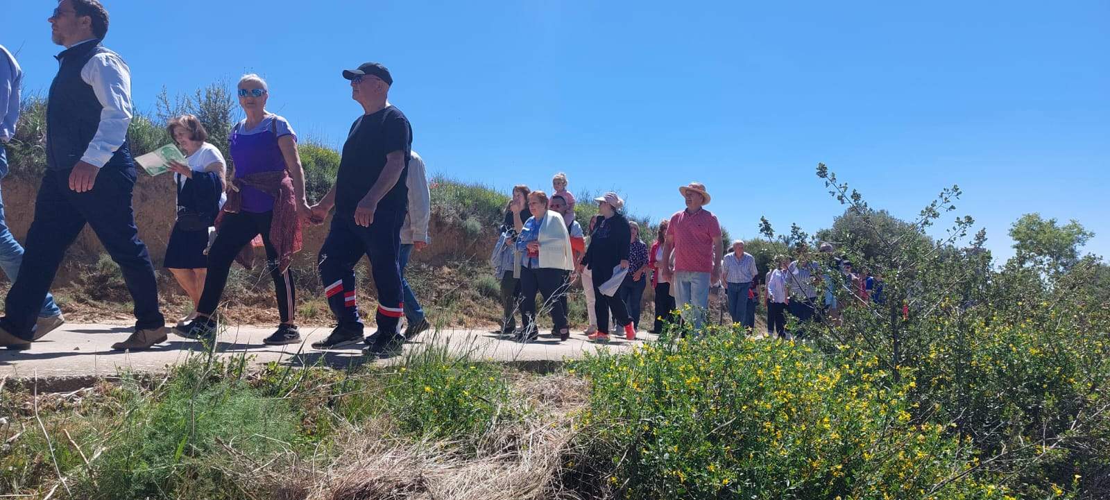 Romería de la Virgen del Viñedo. Foto Javier García Antón