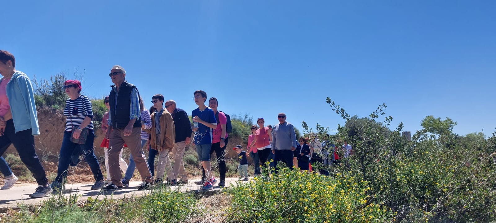 Romería de la Virgen del Viñedo. Foto Javier García Antón