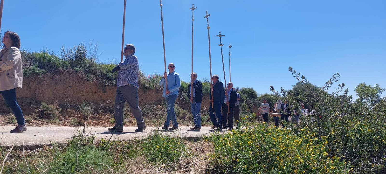 Romería de la Virgen del Viñedo. Foto Javier García Antón