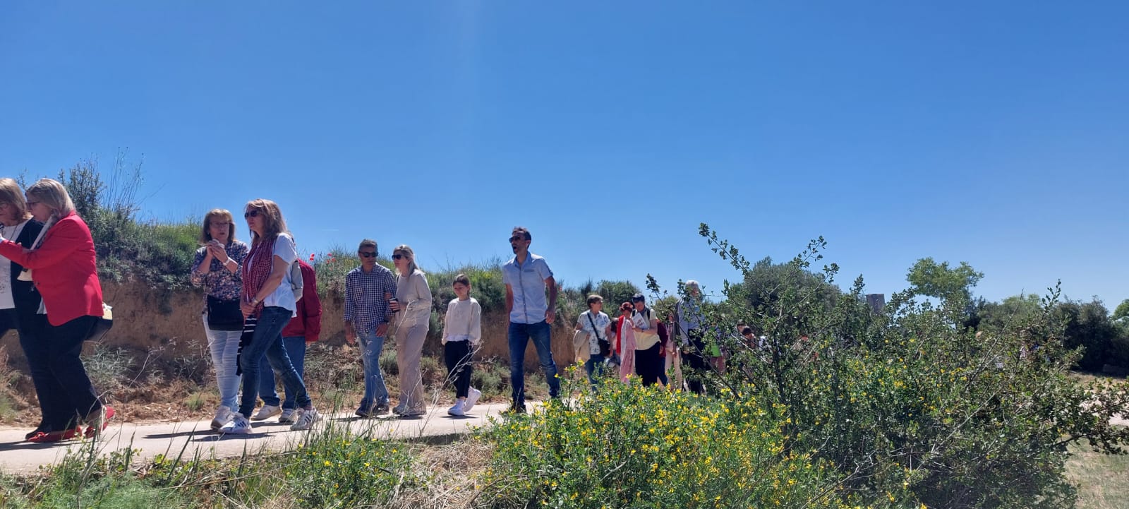 Romería de la Virgen del Viñedo. Foto Javier García Antón