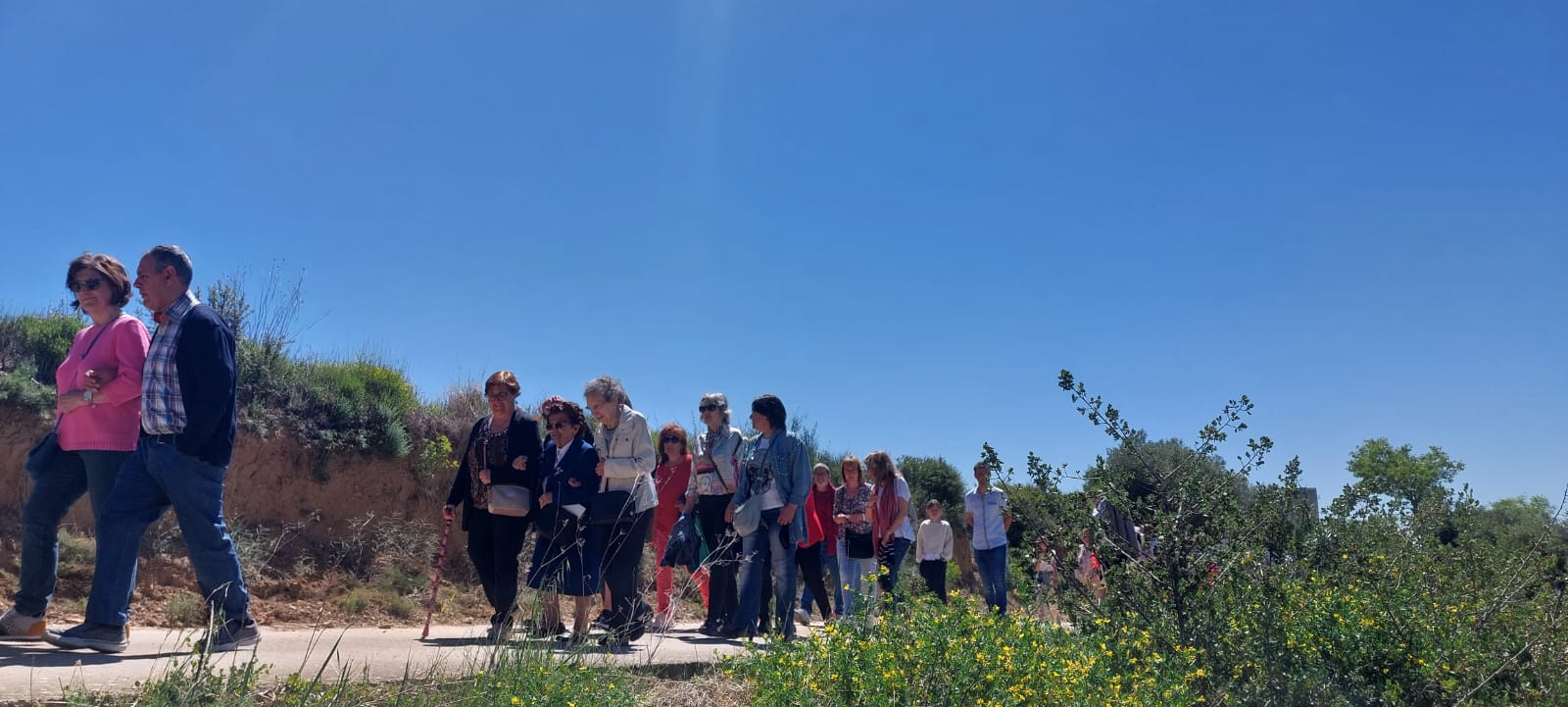 Romería de la Virgen del Viñedo. Foto Javier García Antón