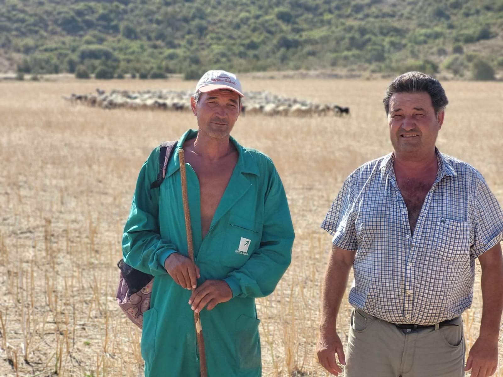 Demetrio e Isidro Ara en el campo con el rebaño de fondo. Sin pastoreo, los montes se convierten en selvas que pueden ser pasto de incendios