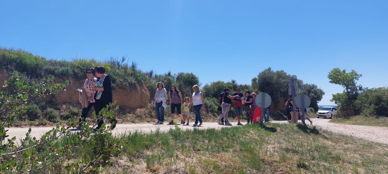 Romería de la Virgen del Viñedo. Foto Javier García Antón