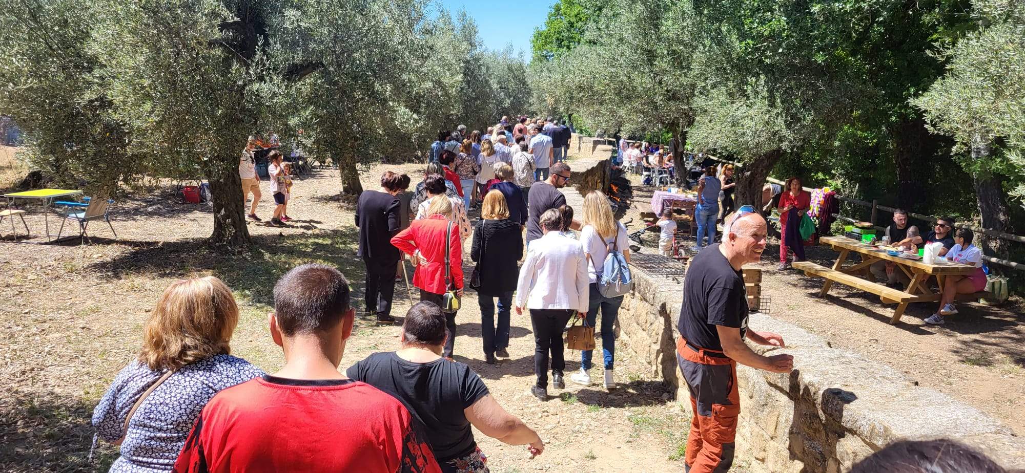 Romería de la Virgen del Viñedo. Foto Javier García Antón