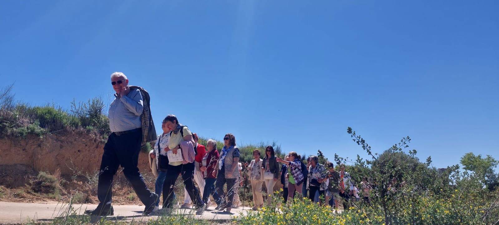 Romería de la Virgen del Viñedo. Foto Javier García Antón