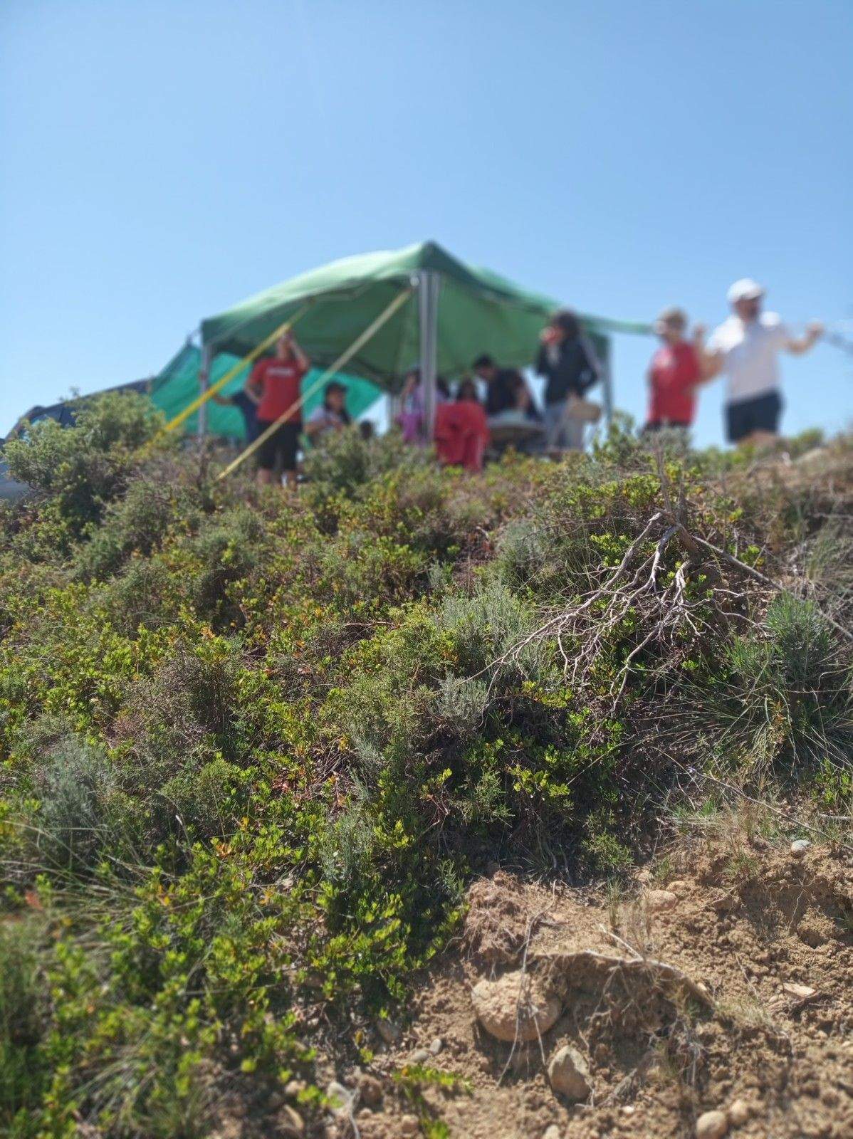 Festividad de San Pedro de Verona. Foto Adrián Mora.